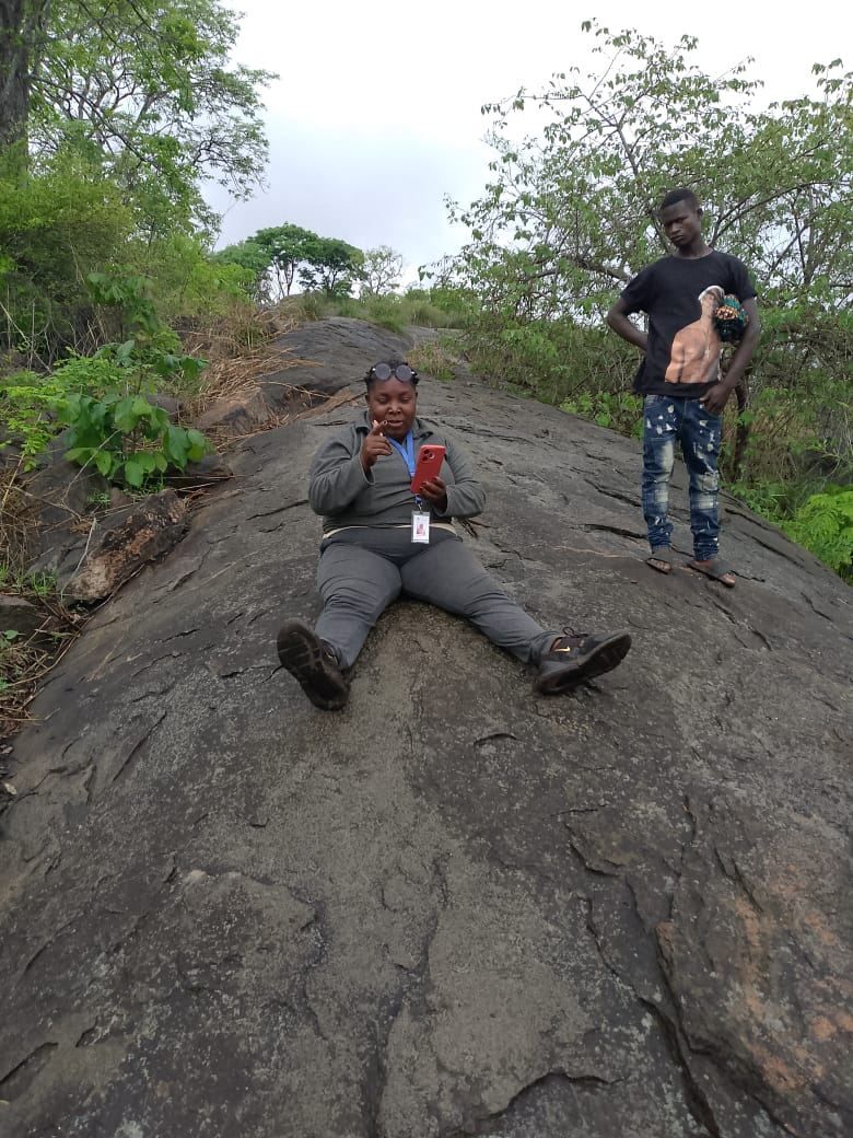 Recolha de Dados CAPI
